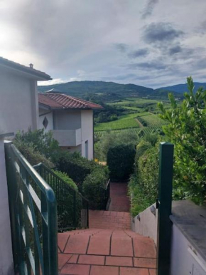 nel Chianti vicino Firenze